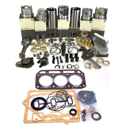 Buy Diesel F2L1011 F3L1011 F4L1011 For Deutz Engine Parts Rebuild Overhaul Kit online manufacture